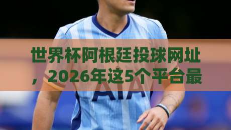 世界杯阿根廷投球网址,2026年这5个平台最靠谱!