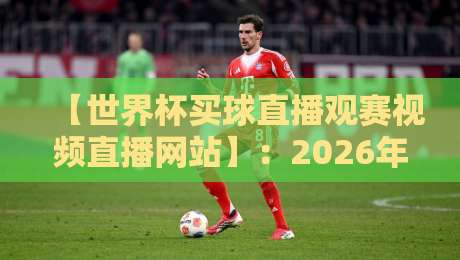 【世界杯买球直播观赛视频直播网站】：2026年球迷必知的五大观赛与投注实战技巧