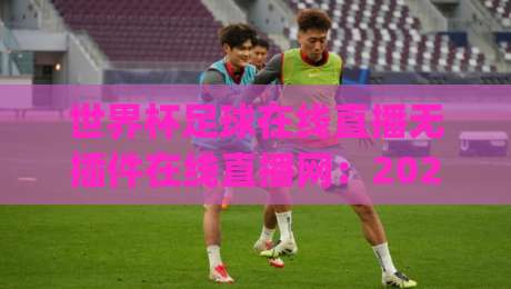 世界杯足球在线直播无插件在线直播网：2026年看球就靠它了，(世界杯足球在线直播无插件在线直播网)