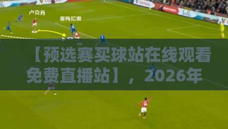 【预选赛买球站在线观看免费直播站】，2026年世界杯预选赛免费直播与投注分析全攻略