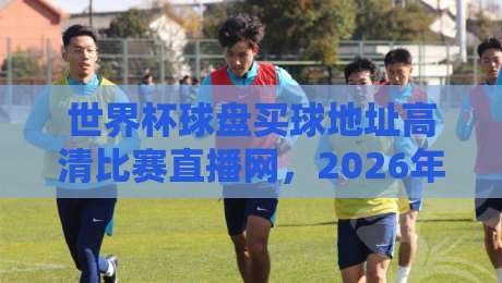 世界杯球盘买球地址高清比赛直播网，2026年最新【世界杯球盘买球地址高清比赛直播网】观看指南
