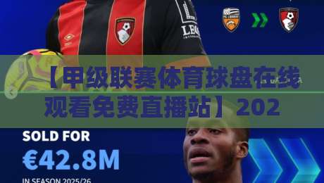 【甲级联赛体育球盘在线观看免费直播站】2026年最全观赛指南，球迷必收！