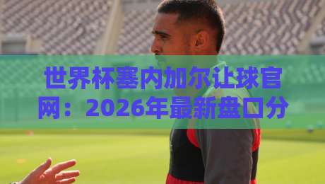 世界杯塞内加尔让球官网：2026年最新盘口分析与投注指南
