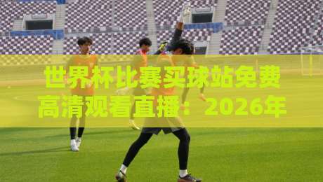 世界杯比赛买球站免费高清观看直播：2026年观赛指南，这些平台值得一试！
