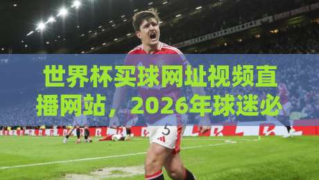 世界杯买球网址视频直播网站，2026年球迷必看的五大实战指南