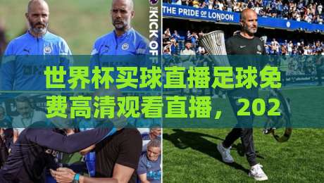 世界杯买球直播足球免费高清观看直播，2026年球迷必备指南（世界杯买球直播足球免费高清观看直播）