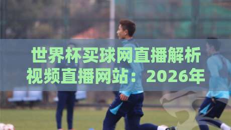 世界杯买球网直播解析视频直播网站：2026年观赛指南与避坑手册