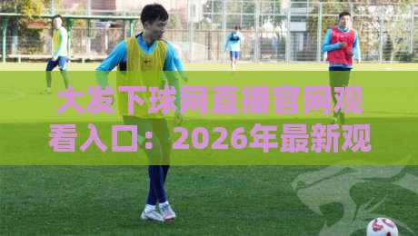 大发下球网直播官网观看入口：2026年最新观赛指南与靠谱渠道解析