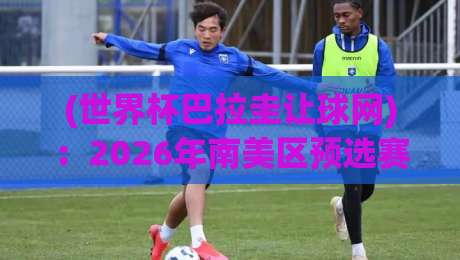 (世界杯巴拉圭让球网):2026年南美区预选赛盘口深度解读 (世界杯巴拉圭让球网):2026年南美区预选赛盘口深度解读