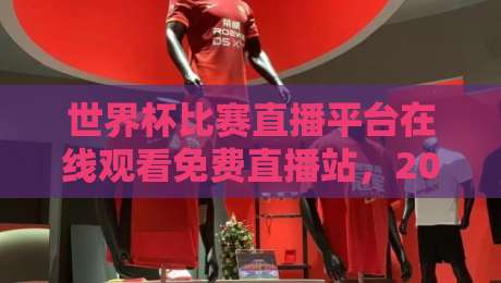 世界杯比赛直播平台在线观看免费直播站，2026年观赛指南（世界杯比赛直播平台在线观看免费直播站）