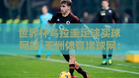 世界杯乌拉圭足球买球网站-亚洲体育堵球网:2026年热门平台深度测评