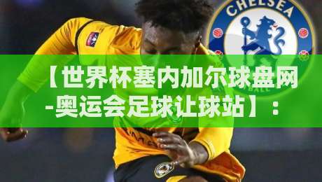 【世界杯塞内加尔球盘网-奥运会足球让球站】:2026年非洲雄狮盘口密码解析