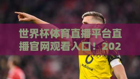 世界杯体育直播平台直播官网观看入口！2026全新观赛指南带你直达赛场