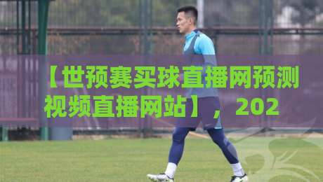 【世预赛买球直播网预测视频直播网站】，2026年球迷必看的四大避坑指南