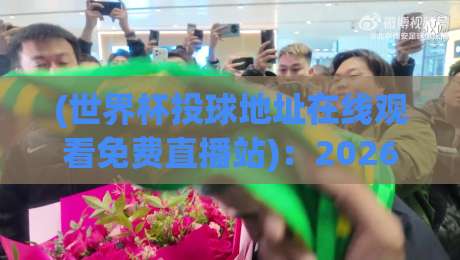 (世界杯投球地址在线观看免费直播站)：2026年最新观赛指南，全网最全世界杯投球地址推荐