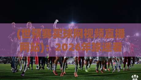 (世预赛买球网视频直播网站)：2026年球迷看球避坑指南，实测靠谱平台长啥样？