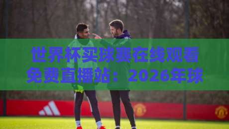 世界杯买球赛在线观看免费直播站：2026年球迷必知的五大观赛渠道与避坑指南
