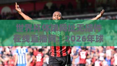 世界杯体球网址无插件在线直播网：2026年球迷的终极观赛指南