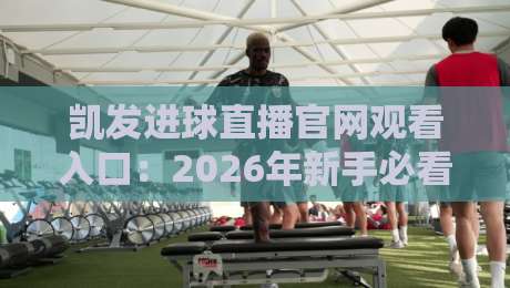 凯发进球直播官网观看入口：2026年新手必看的高效直达路径