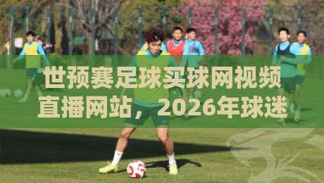 世预赛足球买球网视频直播网站，2026年球迷必看的5个靠谱平台
