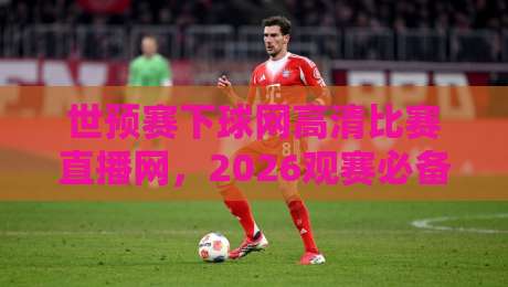 世预赛下球网高清比赛直播网，2026观赛必备神器！