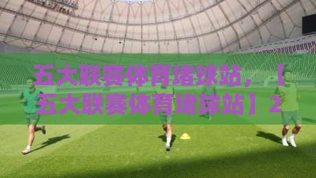 五大联赛体育堵球站,【五大联赛体育堵球站】2026年玩家必看的避坑攻略