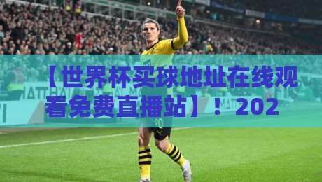 【世界杯买球地址在线观看免费直播站】！2026年球迷必看的高清观赛指南