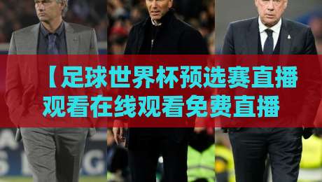 【足球世界杯预选赛直播观看在线观看免费直播站】？2026年世预赛观赛指南