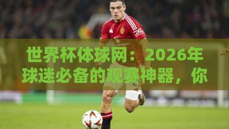 世界杯体球网:2026年球迷必备的观赛神器,你还没用过?