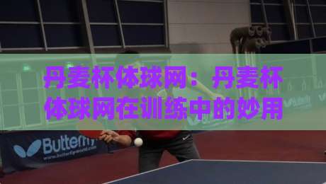丹麦杯体球网：丹麦杯体球网在训练中的妙用，丹麦杯体球网选购与维护的实战心得-今日最新外围体球网网址球盘平台赛后回放JRS大小球