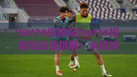 bet16投球站|bet16投球站玩法拆解：从投球节奏到实战决策的完整思路(bet16投球站)-最全手机信誉买球网链接受让视频半全场动画水位