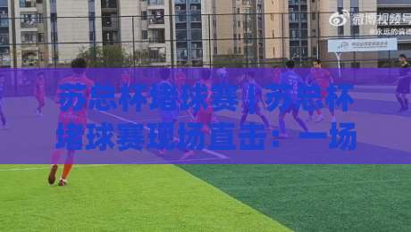 苏总杯堵球赛 | 苏总杯堵球赛现场直击：一场让全城球迷沸腾的街头足球狂欢-今晚靠谱最火进球网技巧预选竞投论坛720P集锦