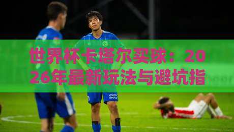 世界杯卡塔尔买球:2026年最新玩法与避坑指南,老球迷都这么玩
