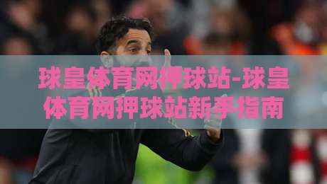 球皇体育网押球站-球皇体育网押球站新手指南：从界面布局到互动节奏的顺畅体验【球皇体育网押球站】-网上热门体球站下盘无需登录对比大礼包导航小球