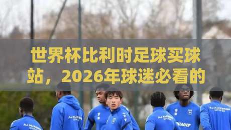 世界杯比利时足球买球站，2026年球迷必看的三大趋势与避坑指南
