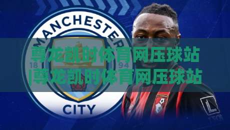 尊龙凯时体育网压球站|尊龙凯时体育网压球站新手指南：从界面布局到互动节奏的沉浸式体验-今晚靠谱最火压球网低水无需注册观看解说让球盘高清