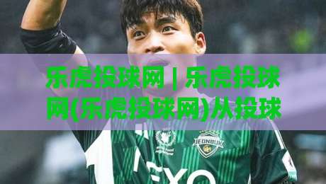 乐虎投球网 | 乐虎投球网(乐虎投球网)从投球节奏到数据复盘:一个棒球爱好者的线上训练手记-网上热门堵球网入口无解说半场波胆登录交流攻略