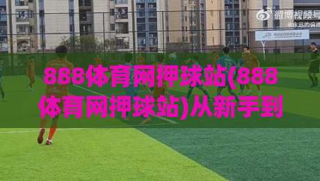 888体育网押球站(888体育网押球站)从新手到行家的五个实战心法【888体育网押球站】-最大权威网页进球站观看解说让球盘高清技巧预选
