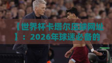 【世界杯卡塔尔压球网址】：2026年球迷必备的高效观赛与互动指南