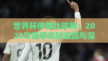 世界杯伊朗比球网：2026年赛事实时追踪与深度解析（伊朗队）