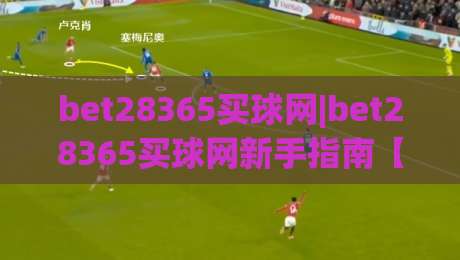 bet28365买球网|bet28365买球网新手指南【bet28365买球网】从注册到互动的顺畅体验-最大权威网页投球站低水无需注册观看解说让球盘高清