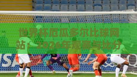 世界杯厄瓜多尔比球网站：2026年观赛与比分追踪全攻略