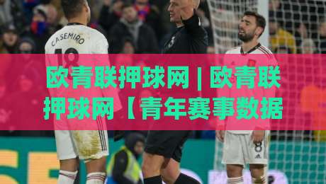 欧青联押球网 | 欧青联押球网【青年赛事数据流】从赛前预判到临场节奏的深度拆解-最全手机信誉体球网半全场动画水位精彩片段流畅代理