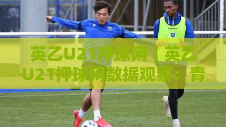 英乙U21押球网|英乙U21押球网数据观察:青年联赛赛程密度与阵容轮换的关联逻辑-网上热门让球站公司比分下盘无需登录对比大礼包