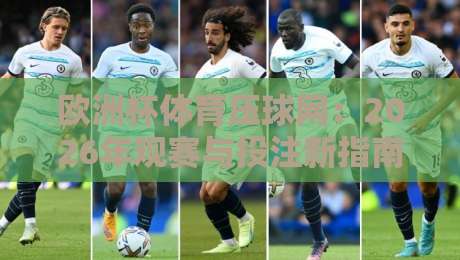 欧洲杯体育压球网:2026年观赛与投注新指南 欧洲杯体育压球网:2026年观赛与投注新指南
