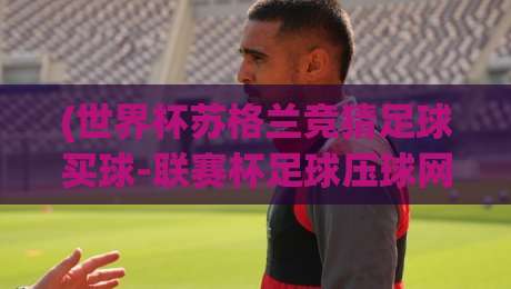 (世界杯苏格兰竞猜足球买球-联赛杯足球压球网),2026年火热玩法与实战指南 (世界杯苏格兰竞猜足球买球-联赛杯足球压球网),2026年火热玩法与实战指南