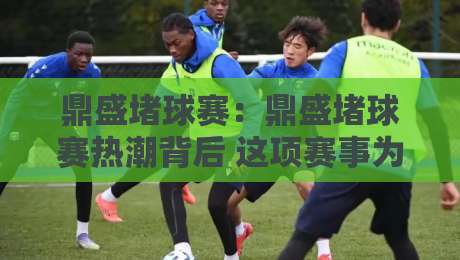 鼎盛堵球赛:鼎盛堵球赛热潮背后 这项赛事为何让球迷如此着迷?【鼎盛堵球赛】现场氛围与参与体验-今晚靠谱最火下球网观看解说让球盘高清技巧预选
