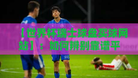 【世界杯瑞士球盘买球网站】:如何辨别靠谱平台与避坑指南(2026版)