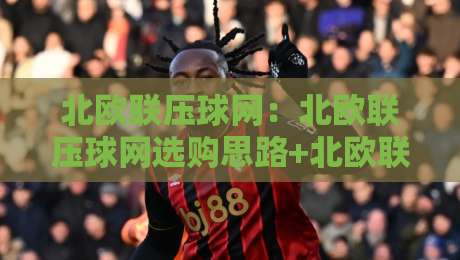 北欧联压球网：北欧联压球网选购思路+北欧联压球网场景化应用与维护细节-网上热门体球网无解说半场波胆登录交流攻略排名