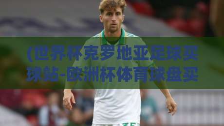 (世界杯克罗地亚足球买球站-欧洲杯体育球盘买球网):2026观赛热潮下的实战干货与风险提醒